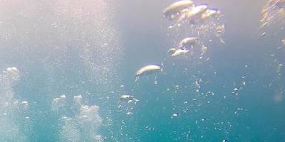 Yeşil hidrojen çalışmaları Karadeniz'in sağlığını koruyabilir