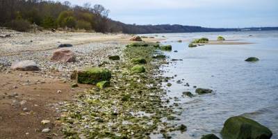 Baltık Denizi ‘kritik zorluklarla’ karşı karşıya