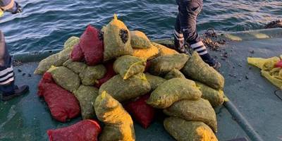 Kaçak midye avlayan tekne sahibine para cezası