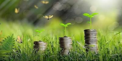 'Türkiye Yeşil Fonu' geliyor