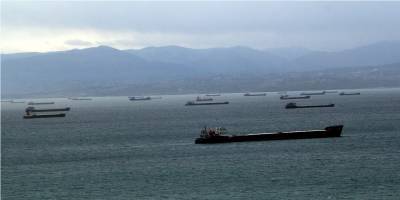 Yük gemileri Sinop'ta fırtına nedeniyle doğal limana sığındı