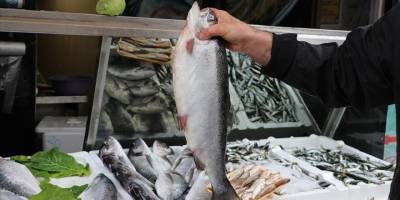 Doğu Karadeniz'den 133,2 milyon dolarlık Türk somonu ihraç edildi