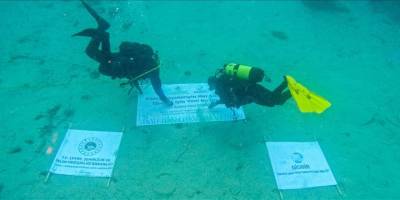 Göcek Körfezi'ne deniz çayırı ekimi yapıldı