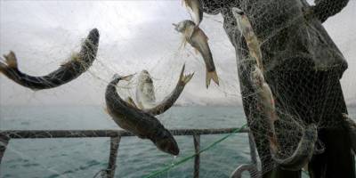 Küçük ölçekli balıkçılara destek ödemeleri artırıldı