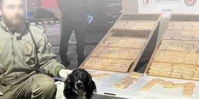 İstanbul Ambarlı Limanı ve Gürbulak Gümrük Kapısı'nda uyuşturucu ele geçirildi