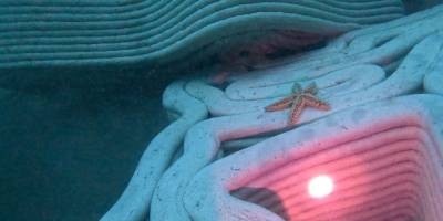 Deniz altındaki yaşam yapay resiflerle canlanacak