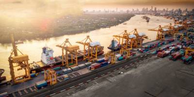 Palmali, dünyada bir ilki başarıyor!