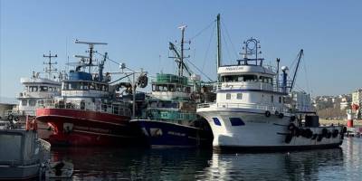 Torik bolluğu Tekirdağlı balıkçıların yüzünü güldürüyor