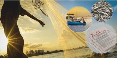 Küçük ölçekli balıkçılar için destekleme başvuruları başladı