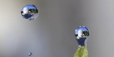 Göremediğimiz kirlilik: Sonsuz kimyasallar