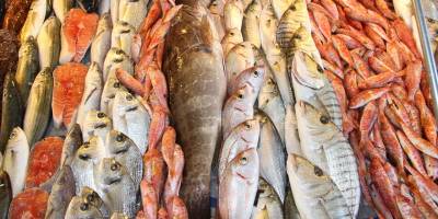 Türk su ürünleri ve hayvansal mamuller sektörü büyümek istiyor