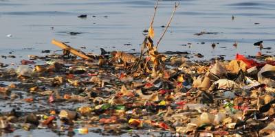Akdeniz'deki plastik kirliliğinin boyutu alarm veriyor