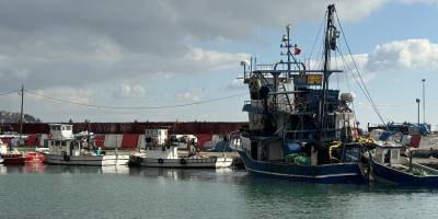 Tekirdağlı balıkçılar yeni yılda umduğunu bulamadı