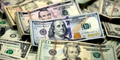 "Dolar, TL karşısında yüzde 45 artmalı"