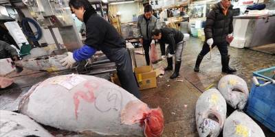 Japonya'nın 2023 yılı tarım, orman ve deniz ürünleri ihracatı 1,45 trilyon yen