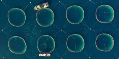 Dünya balıkçılık sektörünün kalbi Türkiye'de atacak