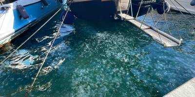 Denizanası popülasyonunun İstanbul kıyılarında aşırı arttığı belirlendi