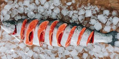 Türk somonunun yumurtadan dünya mutfağına lezzet serüveni