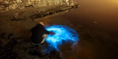 İzmit Körfezi'ndeki renk değişiminin alg çoğalmasından kaynaklandığı belirlendi