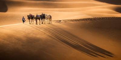 Sahra Çölü'nün altında kayıp bir dünya bulunuyor