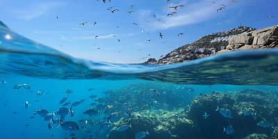 "Akdeniz, Baskı Altında Bir Deniz" bir söyleşide ele alındı