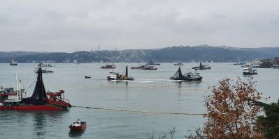 Akdeniz ve Karadeniz'de aşırı avcılık en düşük seviyede