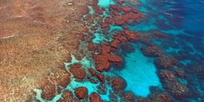 Bilim insanları resifleri ses dalgalarıyla yeniden canlandırmaya çalışıyor