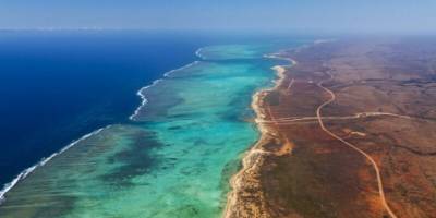 Yüzyıl sonunda tropikal okyanusta hiç balık kalmayacak!
