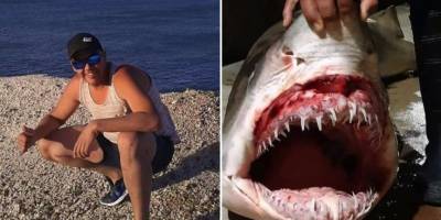 Kayıp Arjantinlinin kalıntıları köpek balığının karnında bulundu