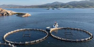 Kayseri'den yılda 5 bin tona yakın Türk somonu ihraç ediliyor