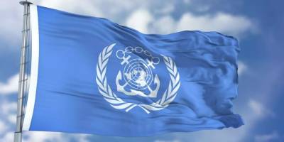 IMO, Kızıldeniz ve Aden Körfezi'ndeki gemilere yönelik saldırıları kınadı