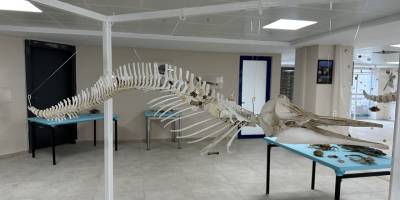 Su altı müzesi 27 Mayıs'ta ziyaretçilerini ağırlayacak