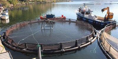 Su ürünleri yetiştiricilerine 2022'de 119,3 milyon liralık destek