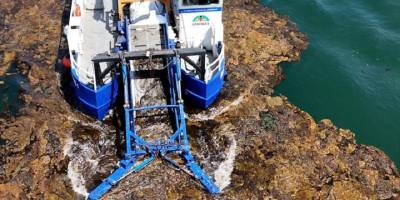 İzmit Körfezi'nde deniz ekosistemi korunuyor