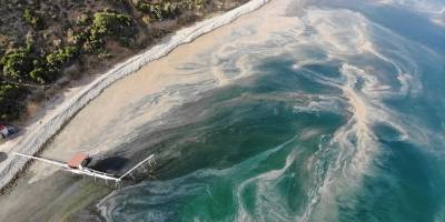 Tekirdağ'da planktonların çoğalmasıyla denizin rengi değişti