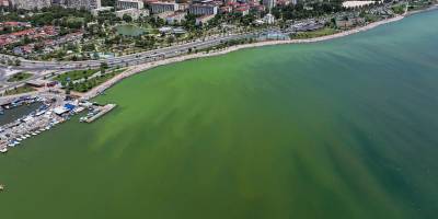 İzmir'de plankton patlaması denizin rengini değiştirdi