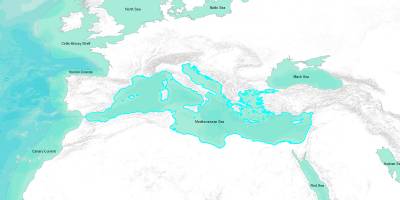 Husiler, Kızıldeniz ve Akdeniz'de biri ABD'ye ait 4 gemiyi vurduklarını duyurdu