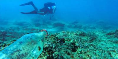 Dünya Doğayı Koruma Vakfının raporuna göre Akdeniz'in yüzde 87'si kirli