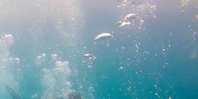 Uzayda yaşamın ipuçları derin denizlerde aranacak