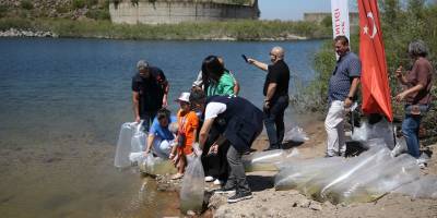 Çanakkale'deki baraj ve göletlere 1 milyon 750 bin sazan yavrusu bırakıldı