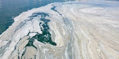 Kocaeli Büyükşehir Belediye Başkanın'dan müsilaj açıklaması