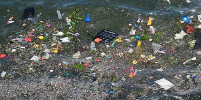 Plastikler denizlerde istilacı türlerin yayılımını hızlandırıyor