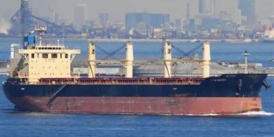 Dışişleri Bakanlığı "Anadolu s" gemisine yapılan saldırıyı kınadı