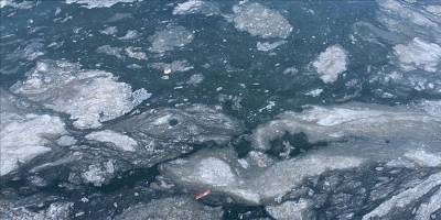 "Müsilaj sürdürülebilir avcılık için de tehdit oluşturuyor"