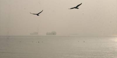 Tekirdağ'da yoğun sis kara ve deniz ulaşımını etkiledi