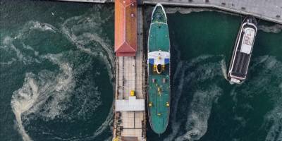 Deniz biyoloğu Prof. Dr. Taşkın, Marmara'daki müsilajı değerlendirdi: