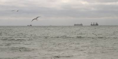 Tekirdağ'da poyraz deniz ulaşımını olumsuz etkiliyor