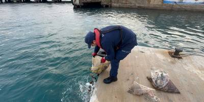 Kaçak avlanan 19 çuval deniz patlıcanı denize bırakıldı