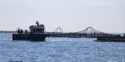 Adana'nın su ürünleri potansiyeli kafes balıkçılığıyla artacak