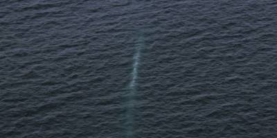 Kuzey Kore, "radyoaktif tsunamiye" yol açabileceği öne sürülen su altı dronunu test etti